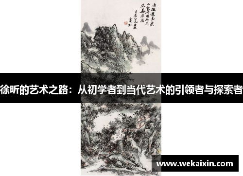 徐昕的艺术之路：从初学者到当代艺术的引领者与探索者